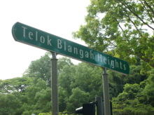 Blk 70A Telok Blangah Heights (S)101070 #78932